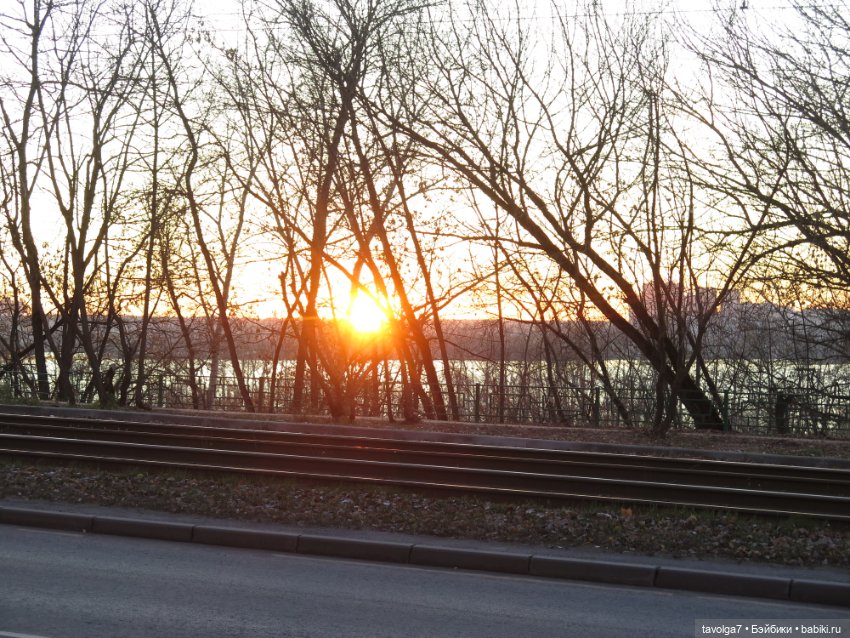 Солнечный ноябрь — Куклы Milim Studio (Милим): российские БЖД