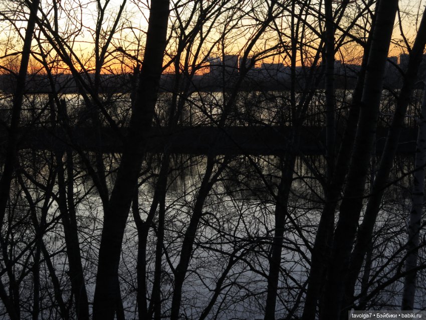 Ноябрьский закат — Куклы Liv (Лив) Spin Master: сменные парики