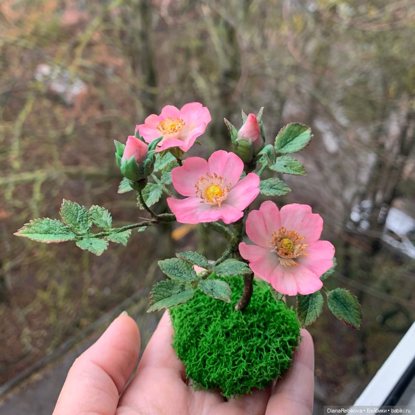 Мини шиповник с цветами 2,5 см и история из детства (фото 4)