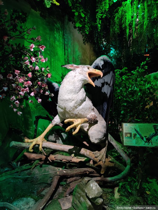 Бестиарий — Туризм и путешествия: фотоотчеты из поездок