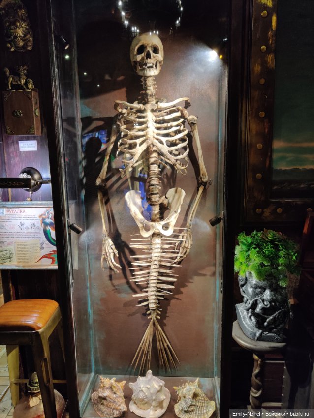 Бестиарий — Туризм и путешествия: фотоотчеты из поездок (фото 3)