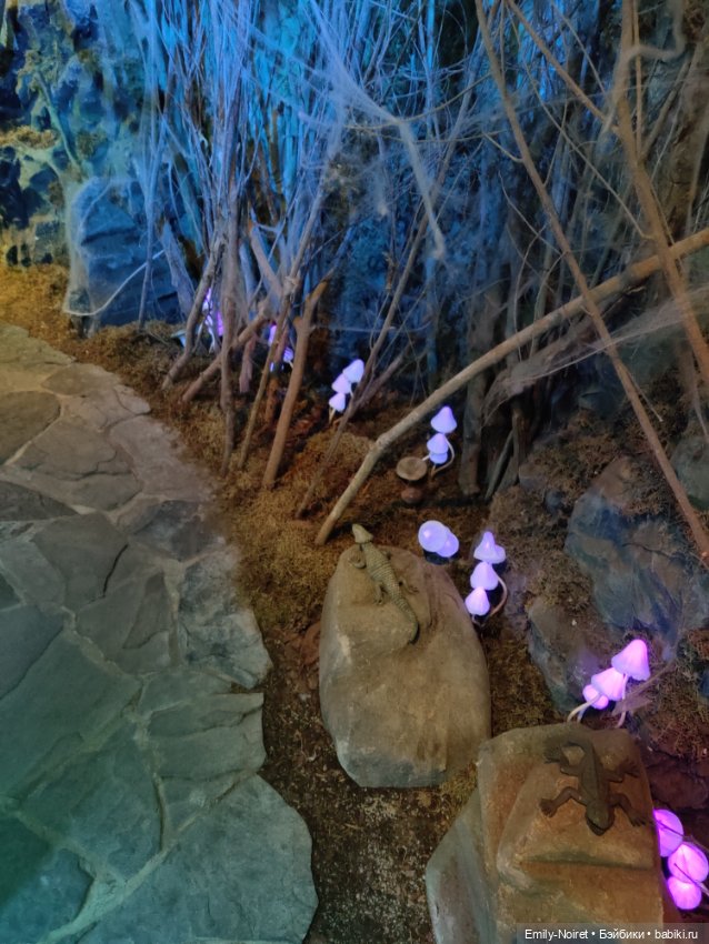 Бестиарий — Туризм и путешествия: фотоотчеты из поездок (фото 10)