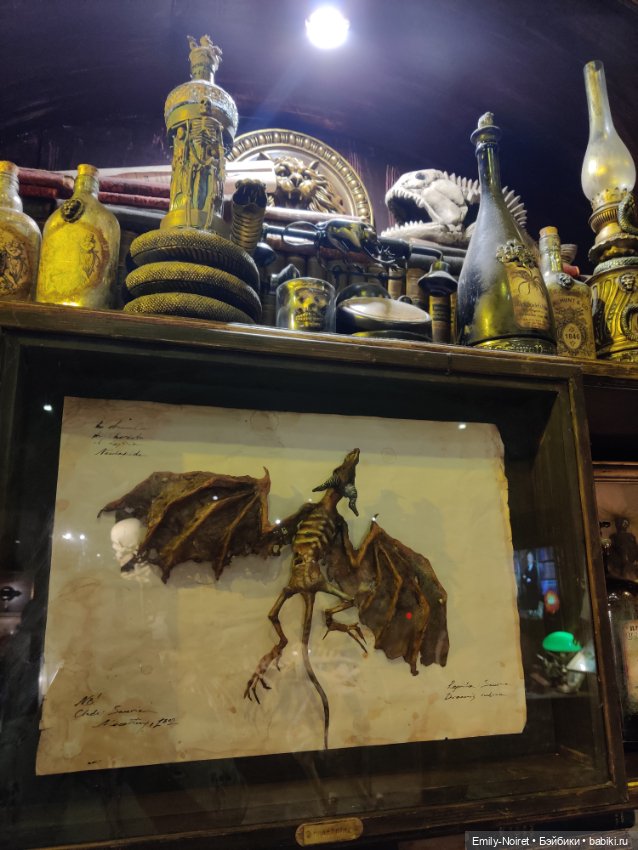 Бестиарий — Туризм и путешествия: фотоотчеты из поездок (фото 8)