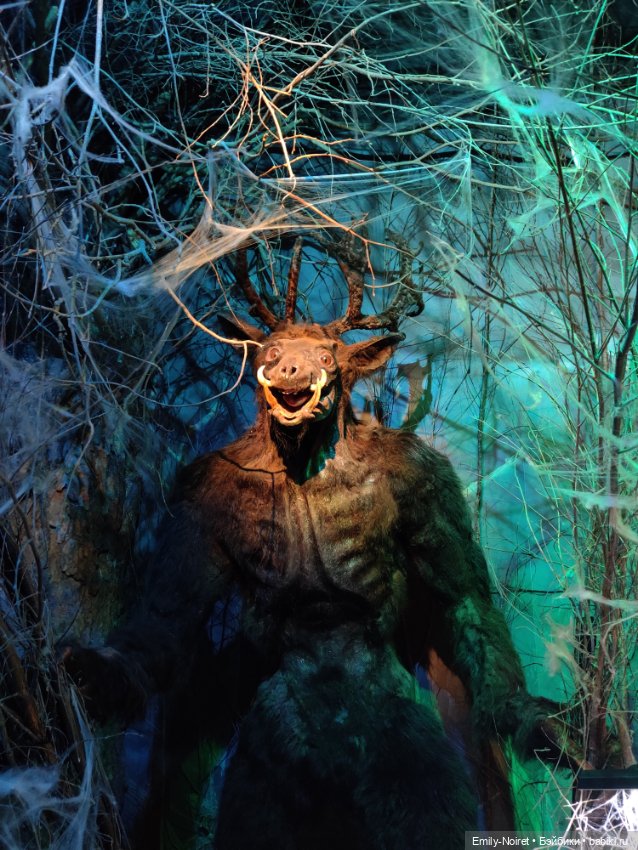 Бестиарий — Туризм и путешествия: фотоотчеты из поездок (фото 9)