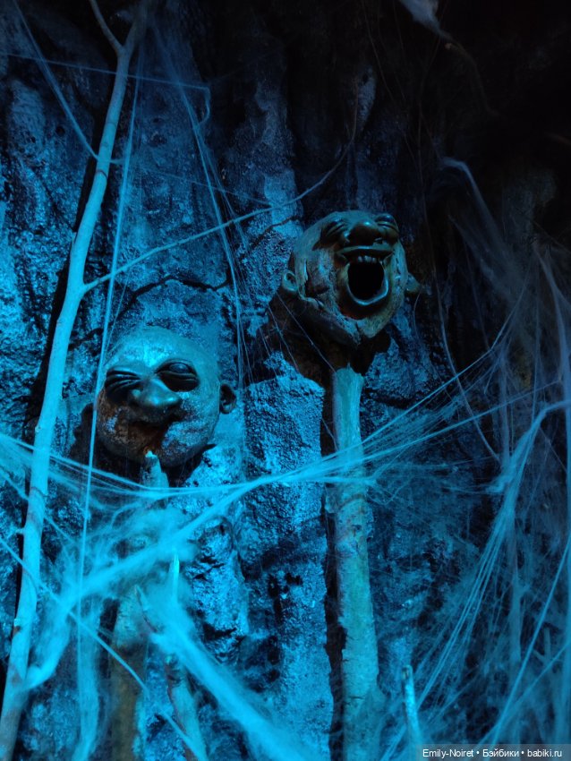 Бестиарий — Туризм и путешествия: фотоотчеты из поездок