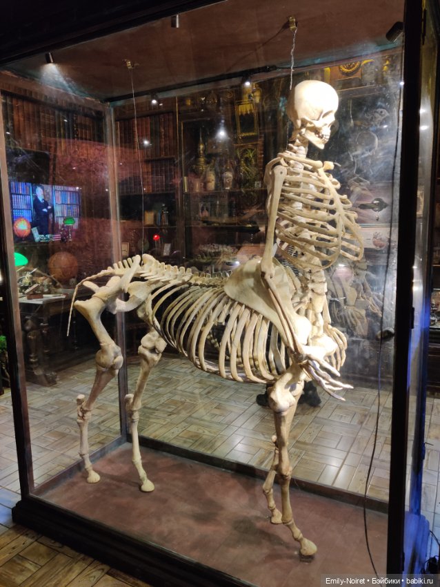 Бестиарий — Туризм и путешествия: фотоотчеты из поездок (фото 6)