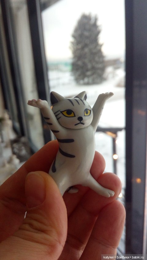 Бирюза, Красноух и Полосатик на Ветеринарной конференции