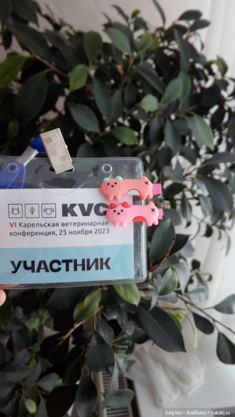 Бирюза, Красноух и Полосатик на Ветеринарной конференции