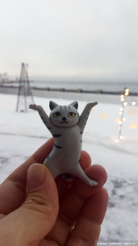 Бирюза, Красноух и Полосатик на Ветеринарной конференции