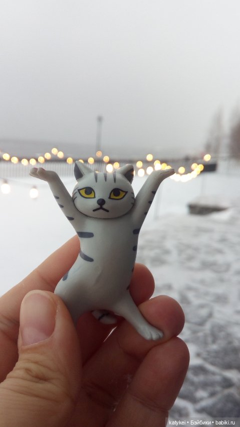 Бирюза, Красноух и Полосатик на Ветеринарной конференции