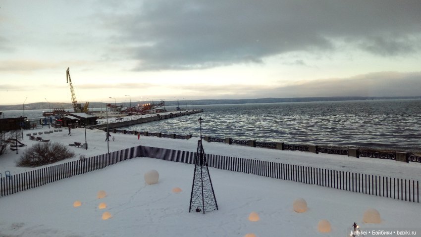 Бирюза, Красноух и Полосатик на Ветеринарной конференции