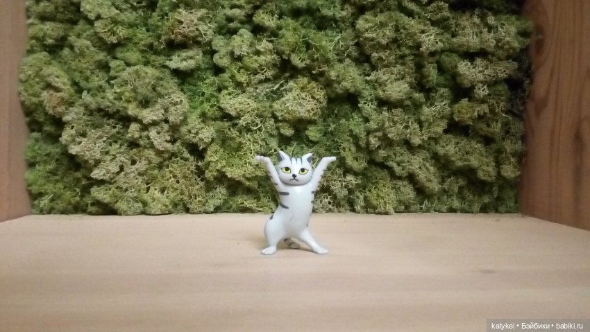 Бирюза, Красноух и Полосатик на Ветеринарной конференции (фото 2)