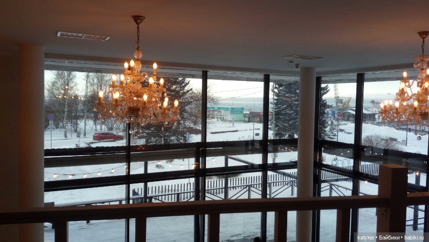 Бирюза, Красноух и Полосатик на Ветеринарной конференции