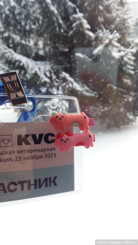 Бирюза, Красноух и Полосатик на Ветеринарной конференции (фото 9)