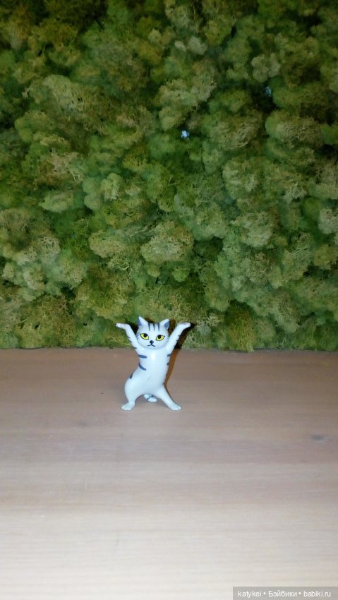 Бирюза, Красноух и Полосатик на Ветеринарной конференции