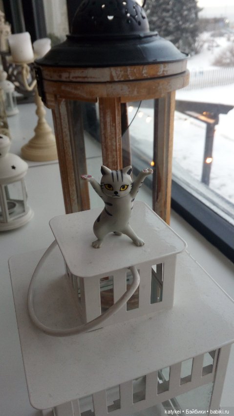 Бирюза, Красноух и Полосатик на Ветеринарной конференции (фото 10)