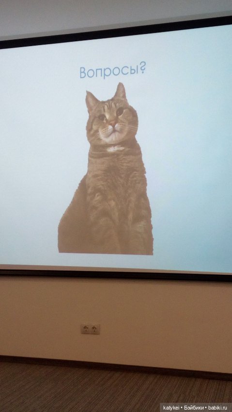 Бирюза, Красноух и Полосатик на Ветеринарной конференции (фото 4)