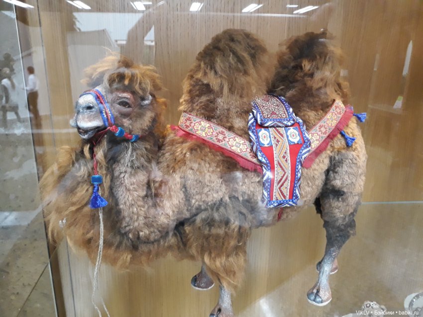 Фаня на выставке "Кукла Дона"