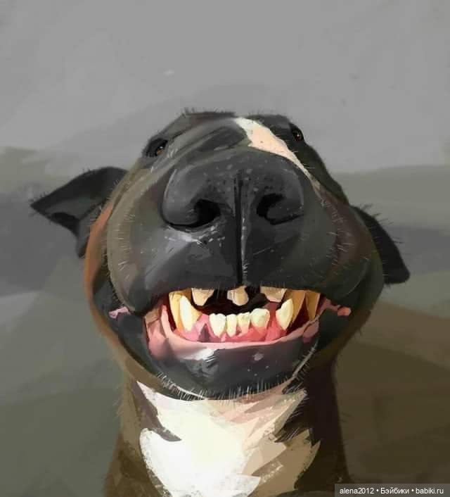 Эти забавные животные. Карикатуры Albeniz Rodriguez (фото 6)