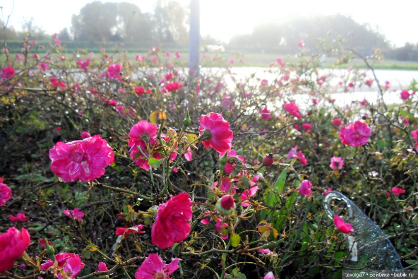 "Как я полюбила ноябрь" - Италия