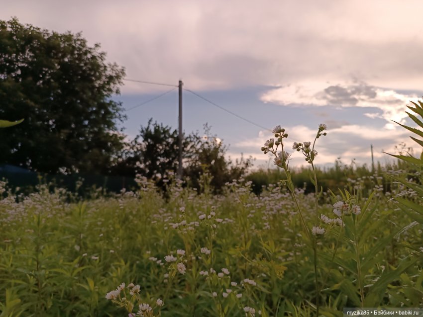 Воспоминания о лете — Игровые куклы разных производителей (Разное): редкие бренды