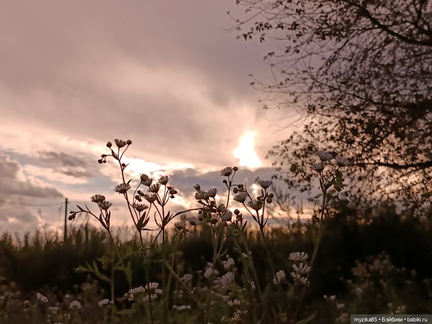 Воспоминания о лете — Игровые куклы разных производителей (Разное): редкие бренды