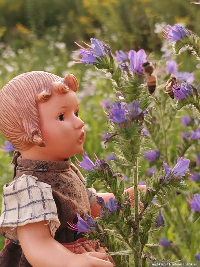 Воспоминания о лете — Игровые куклы разных производителей (Разное): редкие бренды