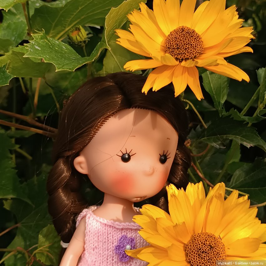 Воспоминания о лете — Игровые куклы разных производителей (Разное): редкие бренды