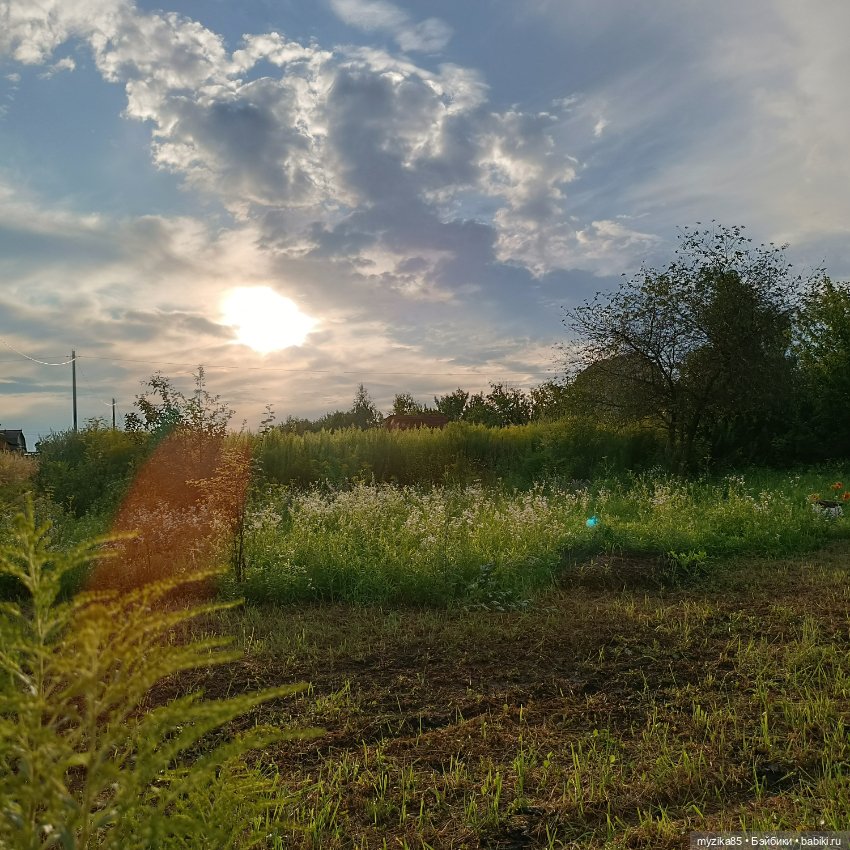 Воспоминания о лете — Игровые куклы разных производителей (Разное): редкие бренды (фото 2)