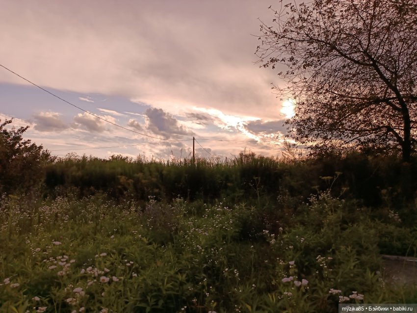 Воспоминания о лете — Игровые куклы разных производителей (Разное): редкие бренды