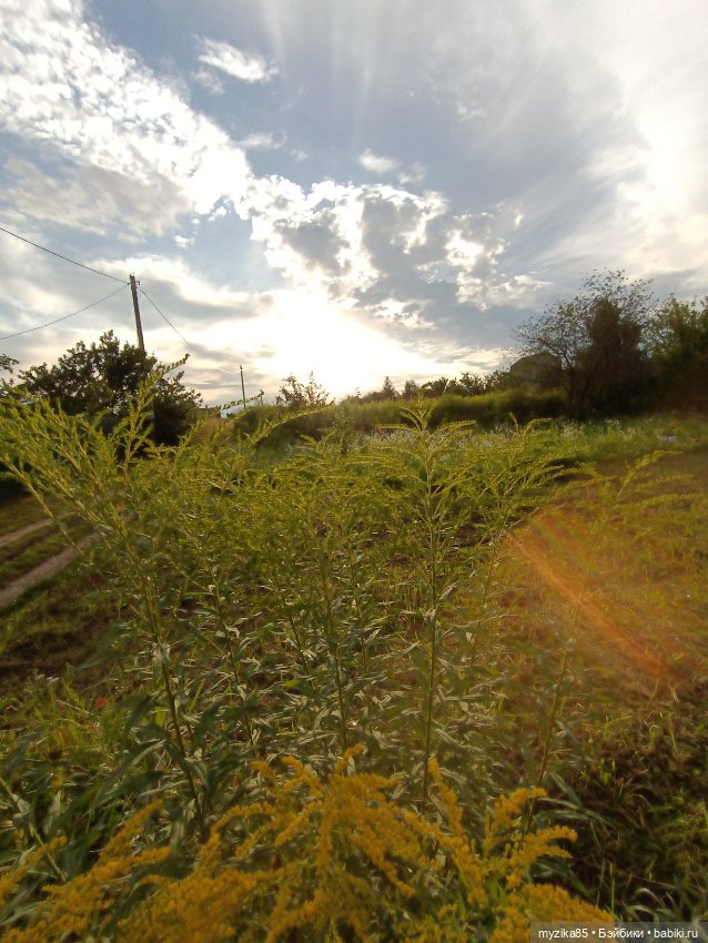 Воспоминания о лете — Игровые куклы разных производителей (Разное): редкие бренды