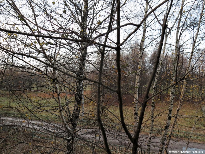 "Как я полюбила ноябрь" - Россия