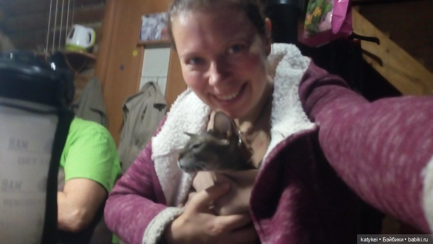 День домашних животных — Коллекционные игрушки и фигурки: Lego