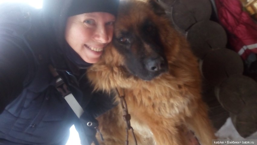 День домашних животных — Коллекционные игрушки и фигурки: Lego