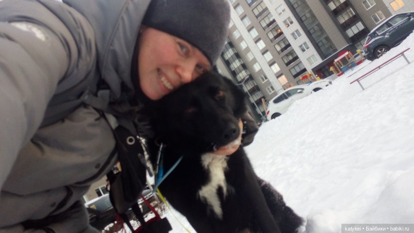 День домашних животных — Коллекционные игрушки и фигурки: Lego