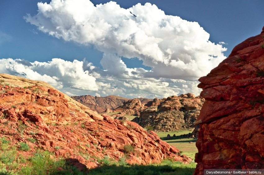 Черный дракон — Игрушки в смешанной технике (мех и глина): Арт