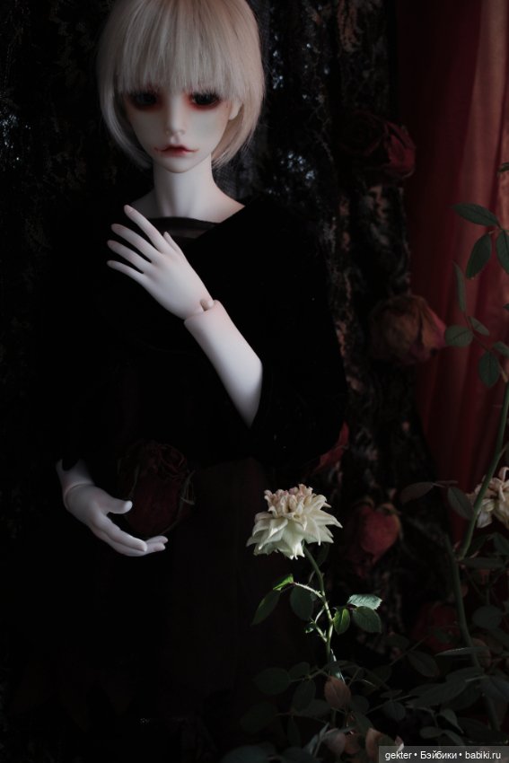 𝓗𝓮𝓻𝓶𝓲𝓽 🥀👑🥀 𝔒𝔯𝔡𝔢𝔯 𝔬𝔣 𝔱𝔥𝔢 ℭ𝔬𝔭𝔭𝔢𝔯 ℜ𝔬𝔰𝔢 𝔖𝔢𝔩𝔣-𝔭𝔯𝔬𝔠𝔩𝔞𝔦𝔪𝔢𝔡 𝔳𝔦𝔠𝔢𝔯𝔬𝔶 𝔬𝔣 𝔱𝔥𝔢 𝔏𝔞𝔰𝔱 𝔚𝔬𝔯𝔩𝔡 (фото 5)