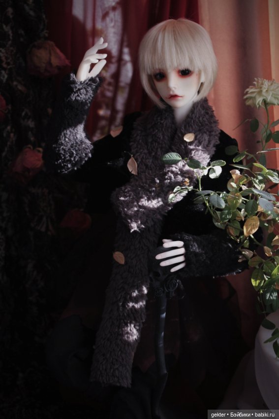 𝓗𝓮𝓻𝓶𝓲𝓽 🥀👑🥀 𝔒𝔯𝔡𝔢𝔯 𝔬𝔣 𝔱𝔥𝔢 ℭ𝔬𝔭𝔭𝔢𝔯 ℜ𝔬𝔰𝔢 𝔖𝔢𝔩𝔣-𝔭𝔯𝔬𝔠𝔩𝔞𝔦𝔪𝔢𝔡 𝔳𝔦𝔠𝔢𝔯𝔬𝔶 𝔬𝔣 𝔱𝔥𝔢 𝔏𝔞𝔰𝔱 𝔚𝔬𝔯𝔩𝔡