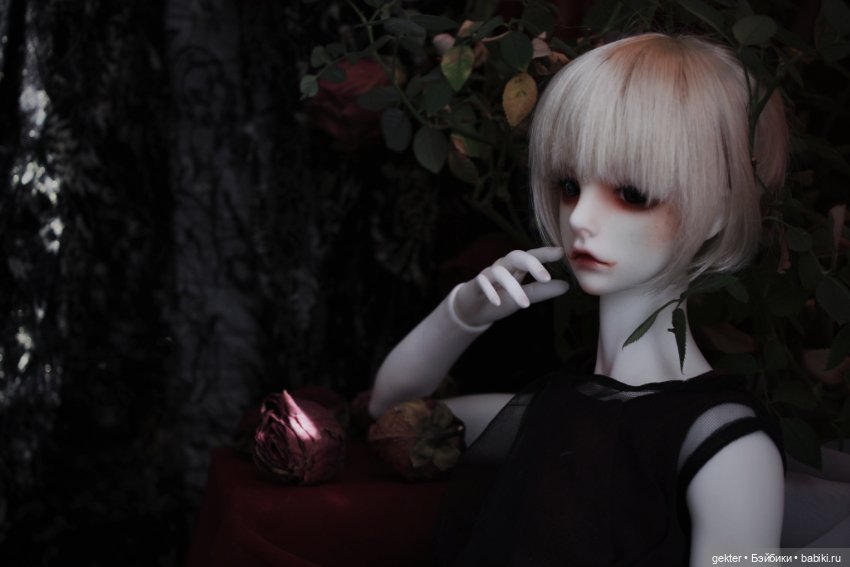 𝓗𝓮𝓻𝓶𝓲𝓽 🥀👑🥀 𝔒𝔯𝔡𝔢𝔯 𝔬𝔣 𝔱𝔥𝔢 ℭ𝔬𝔭𝔭𝔢𝔯 ℜ𝔬𝔰𝔢 𝔖𝔢𝔩𝔣-𝔭𝔯𝔬𝔠𝔩𝔞𝔦𝔪𝔢𝔡 𝔳𝔦𝔠𝔢𝔯𝔬𝔶 𝔬𝔣 𝔱𝔥𝔢 𝔏𝔞𝔰𝔱 𝔚𝔬𝔯𝔩𝔡 (фото 10)