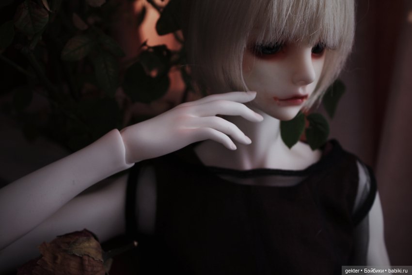 𝓗𝓮𝓻𝓶𝓲𝓽 🥀👑🥀 𝔒𝔯𝔡𝔢𝔯 𝔬𝔣 𝔱𝔥𝔢 ℭ𝔬𝔭𝔭𝔢𝔯 ℜ𝔬𝔰𝔢 𝔖𝔢𝔩𝔣-𝔭𝔯𝔬𝔠𝔩𝔞𝔦𝔪𝔢𝔡 𝔳𝔦𝔠𝔢𝔯𝔬𝔶 𝔬𝔣 𝔱𝔥𝔢 𝔏𝔞𝔰𝔱 𝔚𝔬𝔯𝔩𝔡