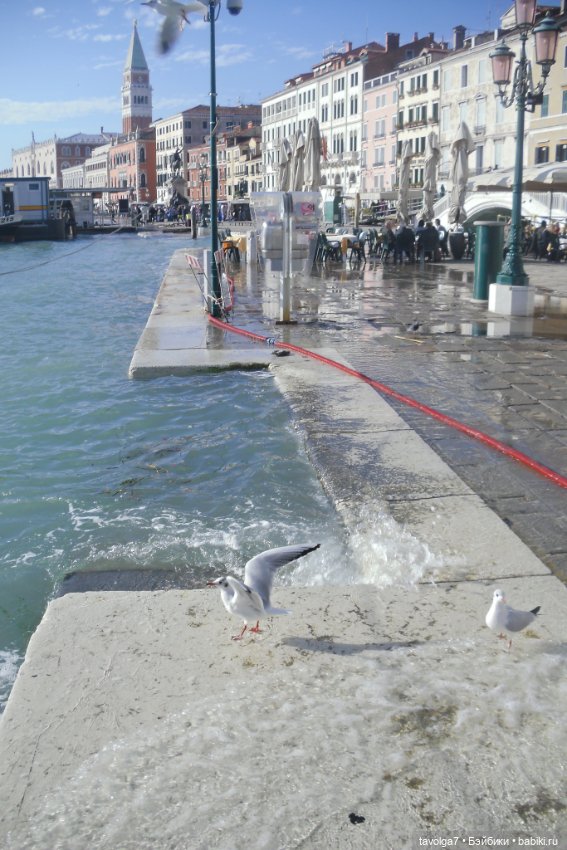 Тёплый ноябрь в Венеции. Блайз петит и необычная Frickers