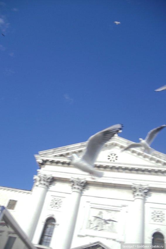 Тёплый ноябрь в Венеции. Блайз петит и необычная Frickers