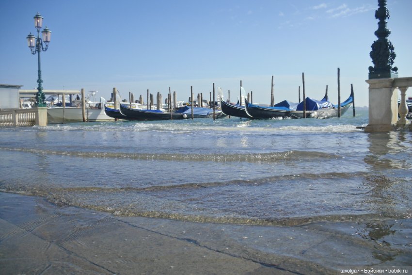 Тёплый ноябрь в Венеции. Блайз петит и необычная Frickers