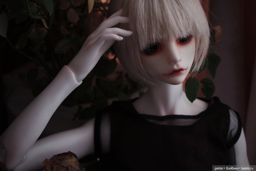 𝓗𝓮𝓻𝓶𝓲𝓽 🥀👑🥀 𝔒𝔯𝔡𝔢𝔯 𝔬𝔣 𝔱𝔥𝔢 ℭ𝔬𝔭𝔭𝔢𝔯 ℜ𝔬𝔰𝔢 𝔖𝔢𝔩𝔣-𝔭𝔯𝔬𝔠𝔩𝔞𝔦𝔪𝔢𝔡 𝔳𝔦𝔠𝔢𝔯𝔬𝔶 𝔬𝔣 𝔱𝔥𝔢 𝔏𝔞𝔰𝔱 𝔚𝔬𝔯𝔩𝔡