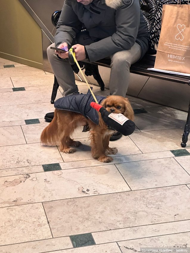 Музыкальная История 72 — Туризм и путешествия: фотоотчеты из поездок