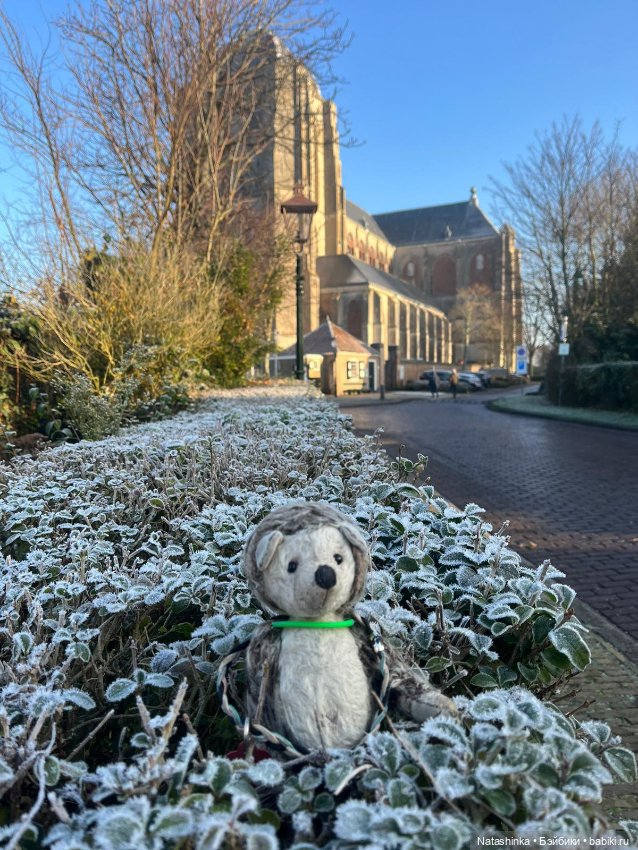 Музыкальная История 72 — Туризм и путешествия: фотоотчеты из поездок (фото 3)