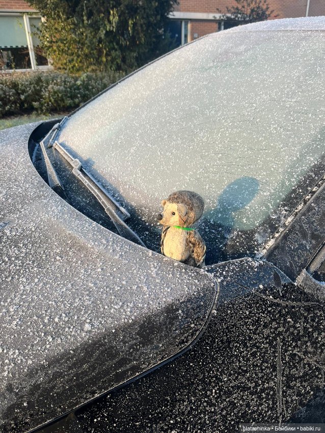 Музыкальная История 72 — Туризм и путешествия: фотоотчеты из поездок