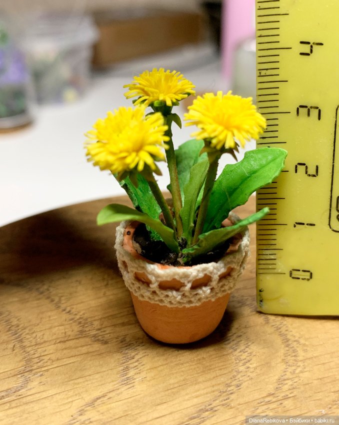 Мини одуванчики в горшочке (фото 5)