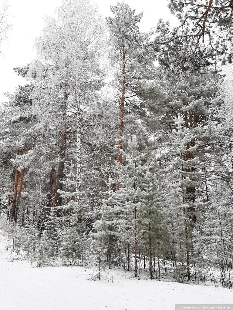 Шубок много не бывает — Куклы Paola Reina (Паола Рейна): новинки