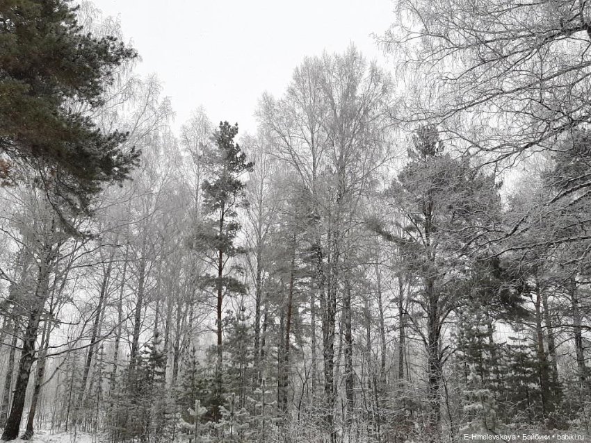 Шубок много не бывает — Куклы Paola Reina (Паола Рейна): новинки